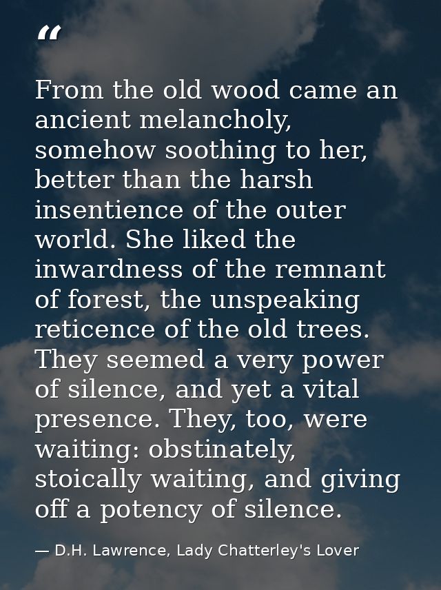 From the old wood came an ancient melancholy, somehow soothing to her, better than the harsh insentience of the outer wo — D.H. Lawrence, Lady Chatterley's Lover