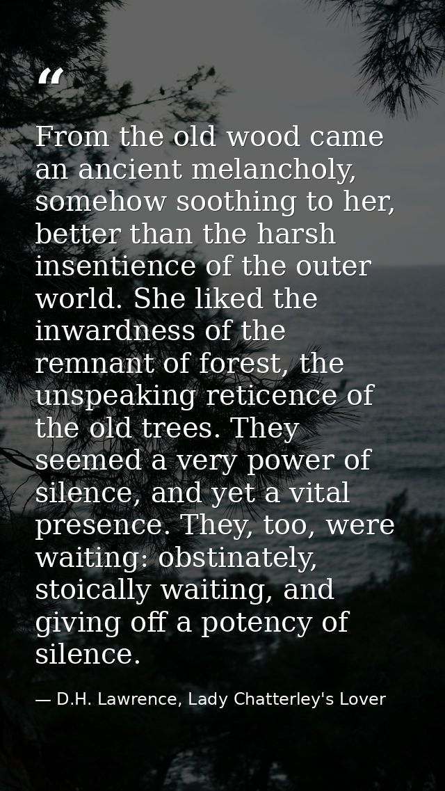 From the old wood came an ancient melancholy, somehow soothing to her, better than the harsh insentience of the outer wo — D.H. Lawrence, Lady Chatterley's Lover