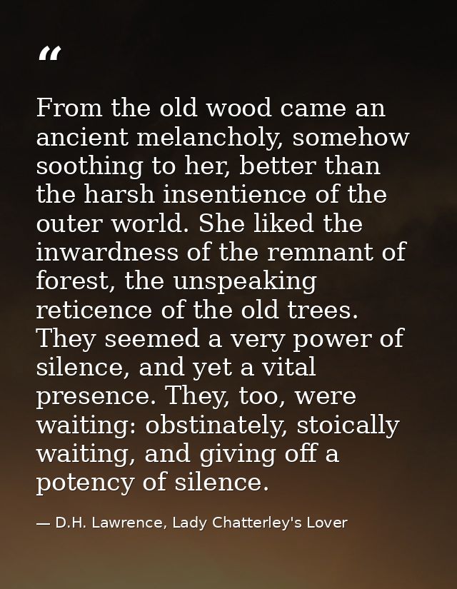 From the old wood came an ancient melancholy, somehow soothing to her, better than the harsh insentience of the outer wo — D.H. Lawrence, Lady Chatterley's Lover