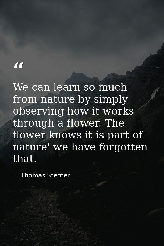 We can learn so much from nature by simply observing how it works through a flower. The flower knows it is part of natur — Thomas Sterner