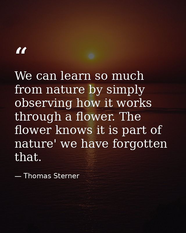 We can learn so much from nature by simply observing how it works through a flower. The flower knows it is part of natur — Thomas Sterner