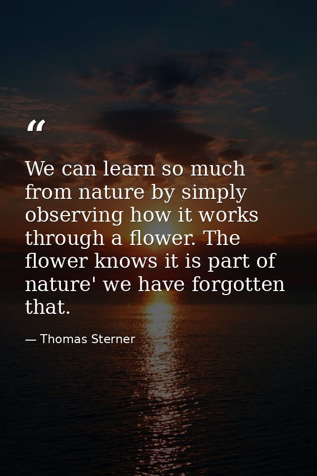 We can learn so much from nature by simply observing how it works through a flower. The flower knows it is part of natur — Thomas Sterner