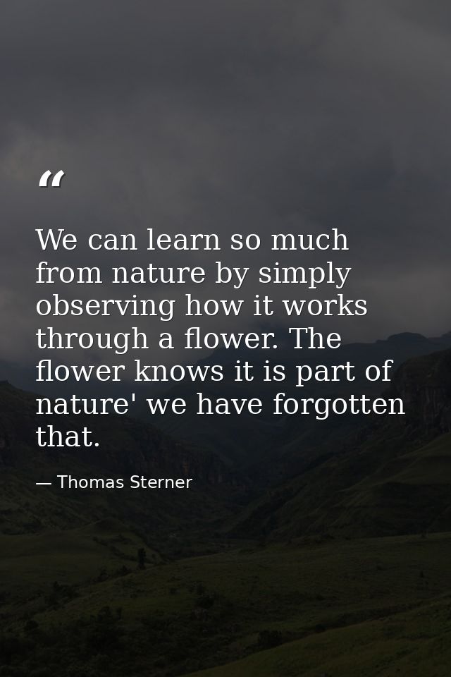We can learn so much from nature by simply observing how it works through a flower. The flower knows it is part of natur — Thomas Sterner
