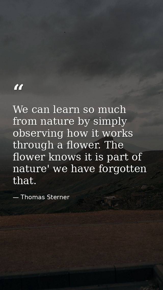 We can learn so much from nature by simply observing how it works through a flower. The flower knows it is part of natur — Thomas Sterner