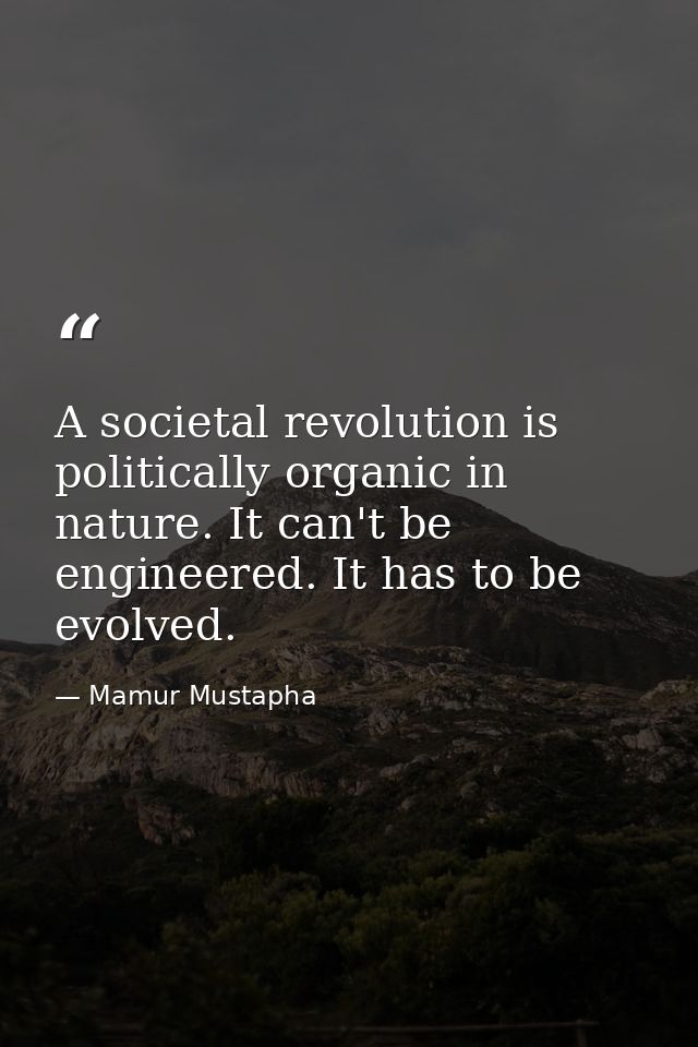 A societal revolution is politically organic in nature. It can't be engineered. It has to be evolved. — Mamur Mustapha