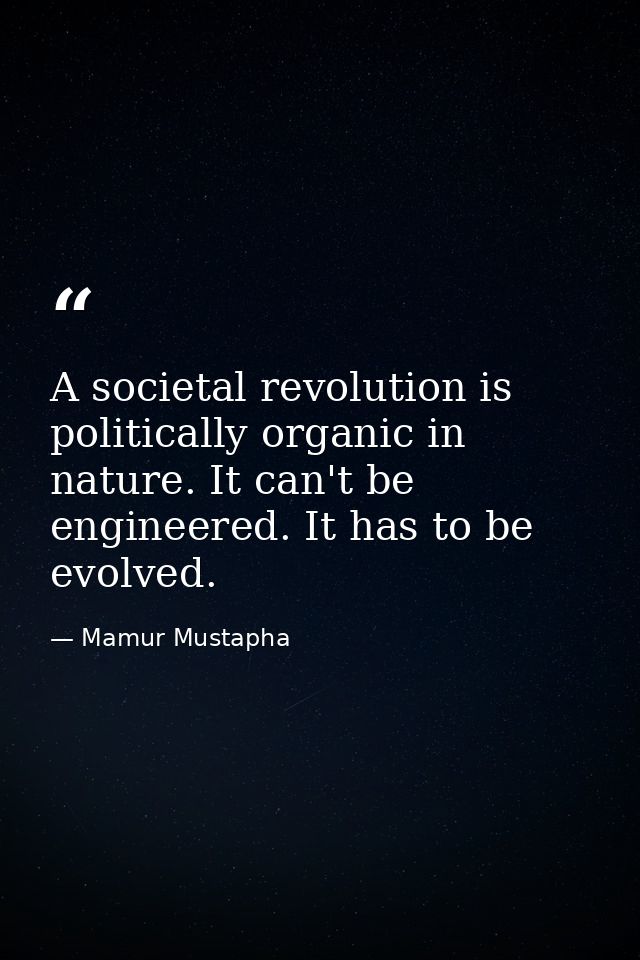 A societal revolution is politically organic in nature. It can't be engineered. It has to be evolved. — Mamur Mustapha