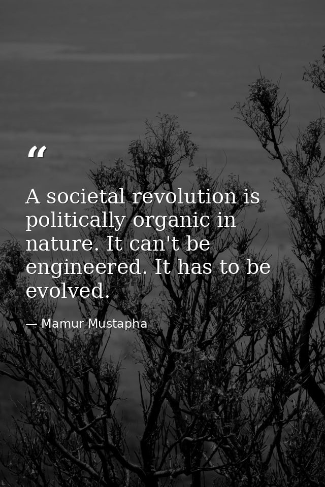 A societal revolution is politically organic in nature. It can't be engineered. It has to be evolved. — Mamur Mustapha