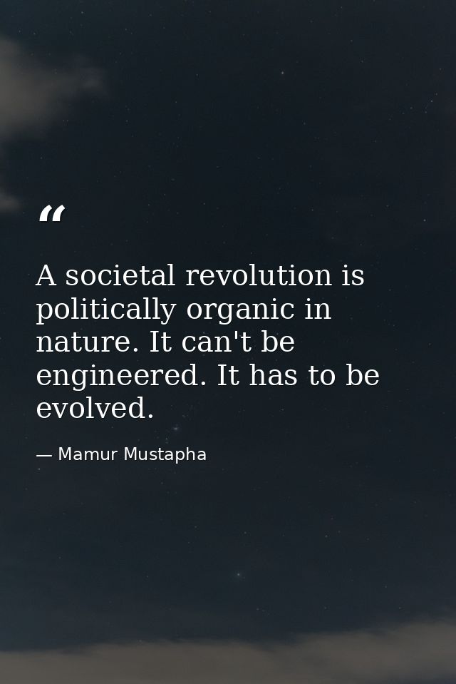 A societal revolution is politically organic in nature. It can't be engineered. It has to be evolved. — Mamur Mustapha