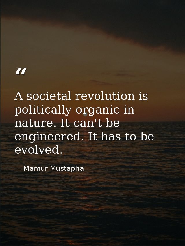 A societal revolution is politically organic in nature. It can't be engineered. It has to be evolved. — Mamur Mustapha