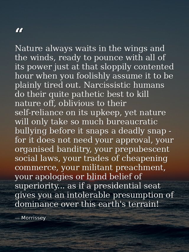 Nature always waits in the wings and the winds, ready to pounce with all of its power just at that sloppily contented ho — Morrissey