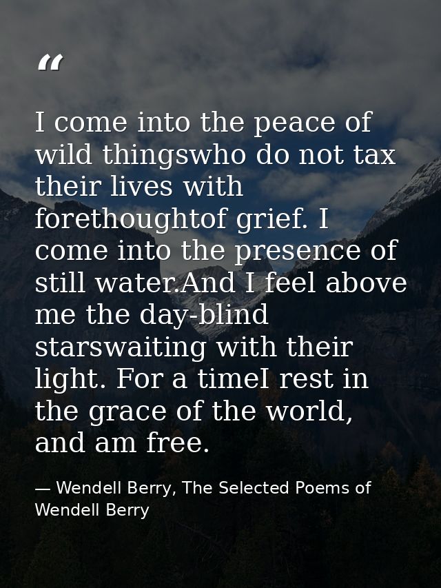 I come into the peace of wild thingswho do not tax their lives with forethoughtof grief. I come into the presence of sti — Wendell Berry, The Selected Poems of Wendell Berry