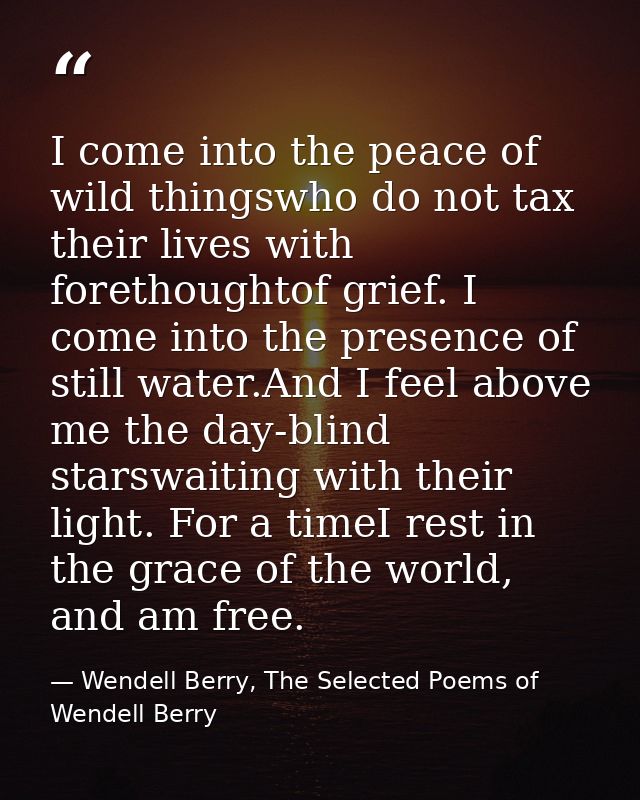 I come into the peace of wild thingswho do not tax their lives with forethoughtof grief. I come into the presence of sti — Wendell Berry, The Selected Poems of Wendell Berry