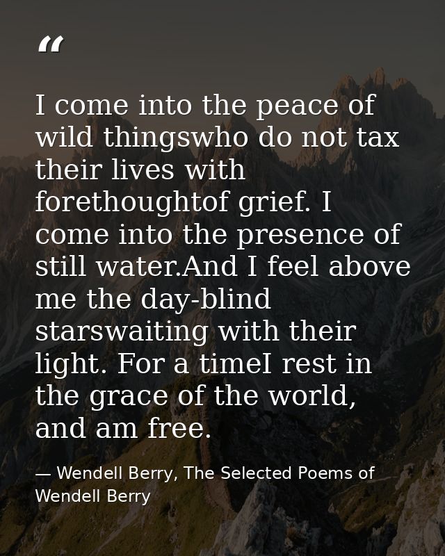 I come into the peace of wild thingswho do not tax their lives with forethoughtof grief. I come into the presence of sti — Wendell Berry, The Selected Poems of Wendell Berry