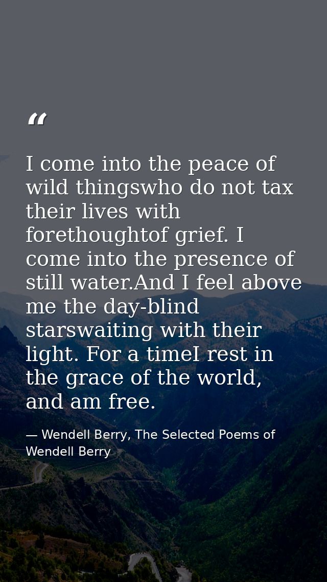 I come into the peace of wild thingswho do not tax their lives with forethoughtof grief. I come into the presence of sti — Wendell Berry, The Selected Poems of Wendell Berry