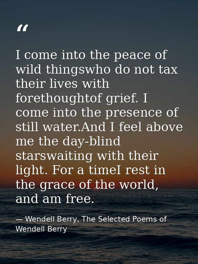 I come into the peace of wild thingswho do not tax their lives with forethoughtof grief. I come into the presence of sti — Wendell Berry, The Selected Poems of Wendell Berry