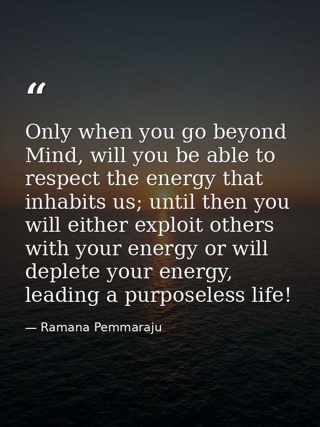Only when you go beyond Mind, will you be able to respect the energy that inhabits us; until then you will either exploi — Ramana Pemmaraju