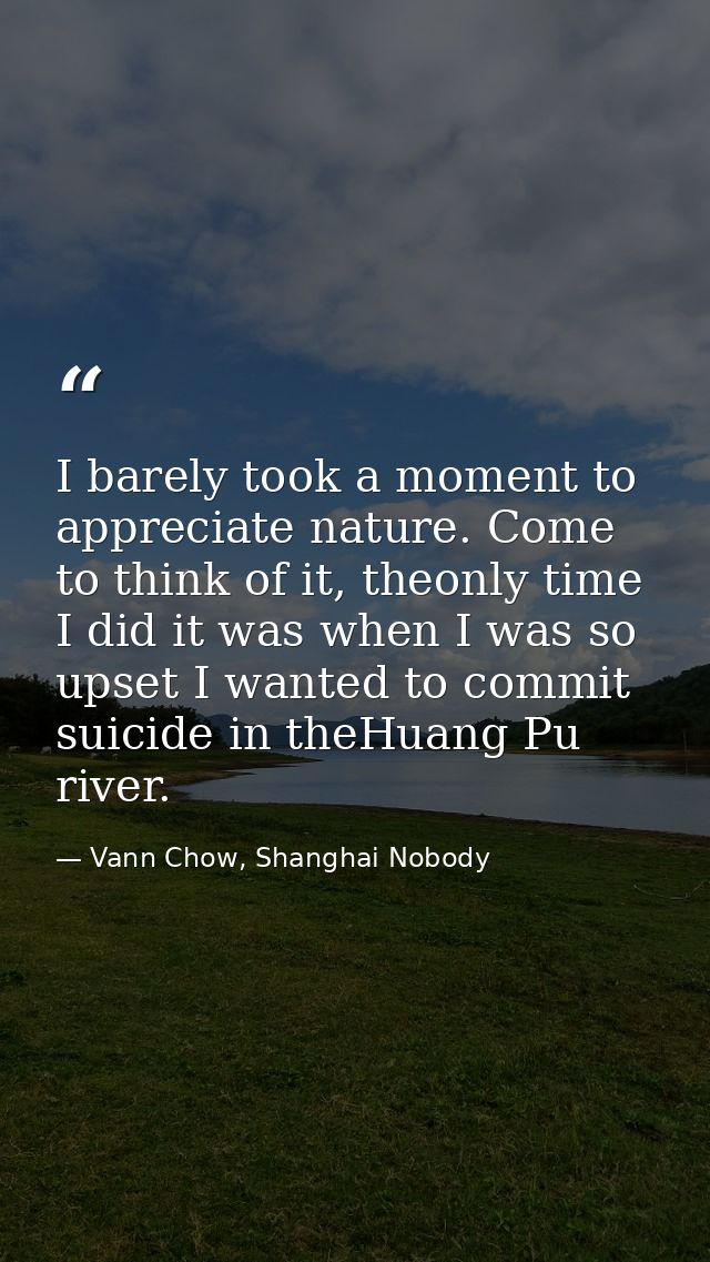 I barely took a moment to appreciate nature. Come to think of it, theonly time I did it was when I was so upset I wanted — Vann Chow, Shanghai Nobody