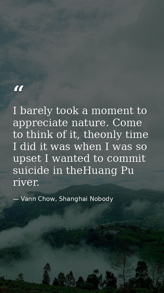 I barely took a moment to appreciate nature. Come to think of it, theonly time I did it was when I was so upset I wanted — Vann Chow, Shanghai Nobody