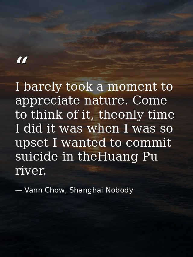 I barely took a moment to appreciate nature. Come to think of it, theonly time I did it was when I was so upset I wanted — Vann Chow, Shanghai Nobody