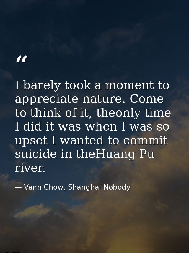 I barely took a moment to appreciate nature. Come to think of it, theonly time I did it was when I was so upset I wanted — Vann Chow, Shanghai Nobody