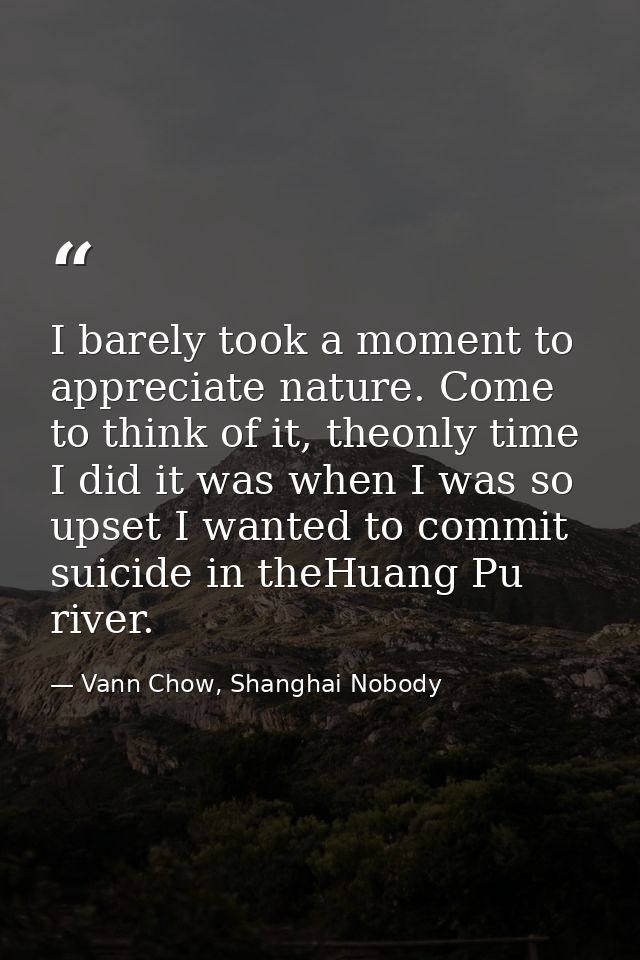 I barely took a moment to appreciate nature. Come to think of it, theonly time I did it was when I was so upset I wanted — Vann Chow, Shanghai Nobody