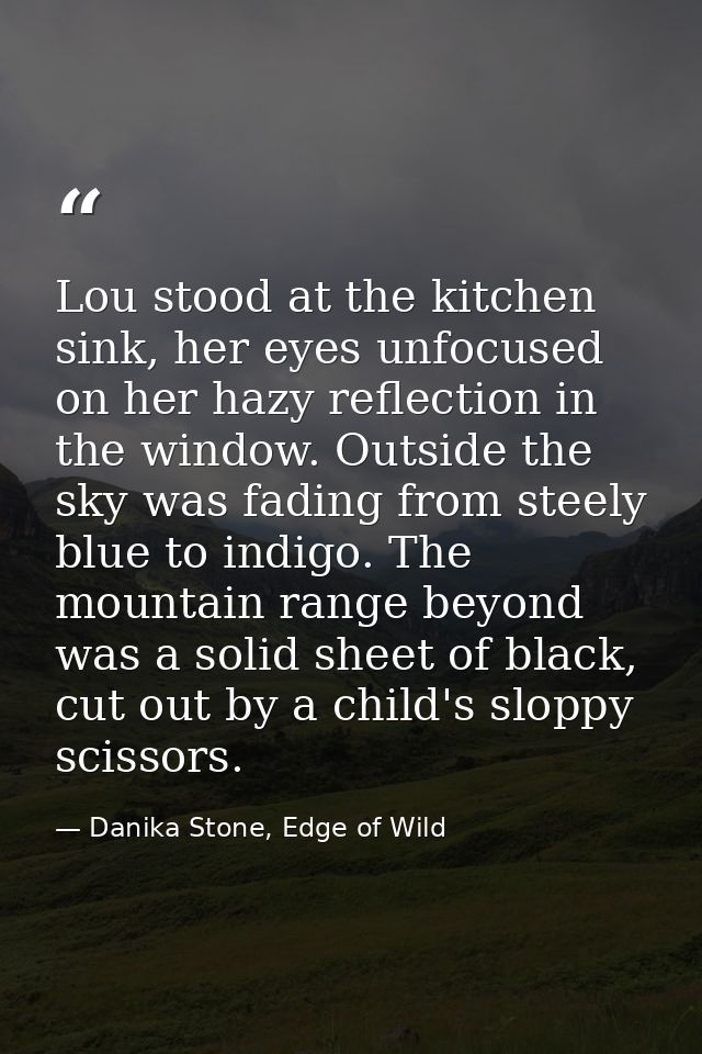 Lou stood at the kitchen sink, her eyes unfocused on her hazy reflection in the window. Outside the sky was fading from  — Danika Stone, Edge of Wild
