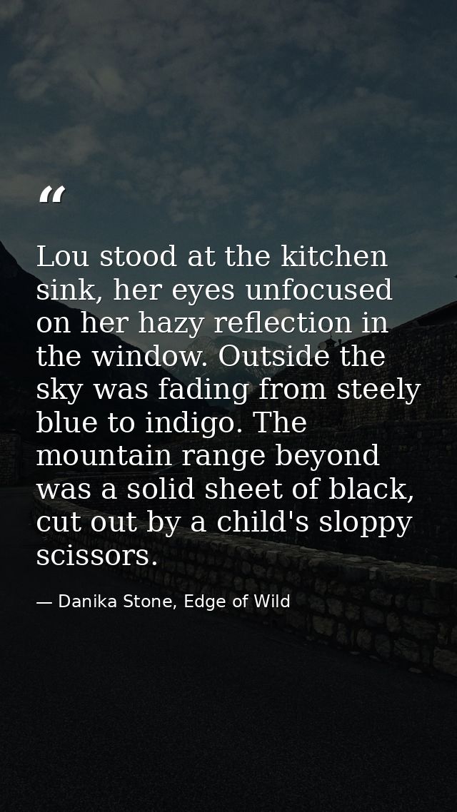 Lou stood at the kitchen sink, her eyes unfocused on her hazy reflection in the window. Outside the sky was fading from  — Danika Stone, Edge of Wild