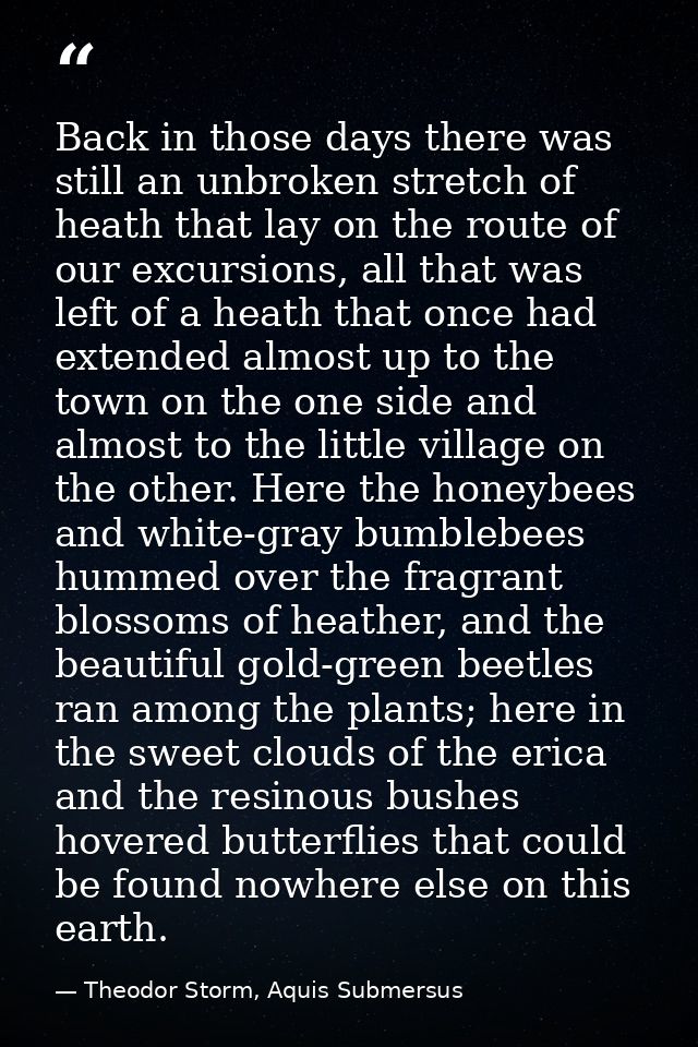 Back in those days there was still an unbroken stretch of heath that lay on the route of our excursions, all that was le — Theodor Storm, Aquis Submersus