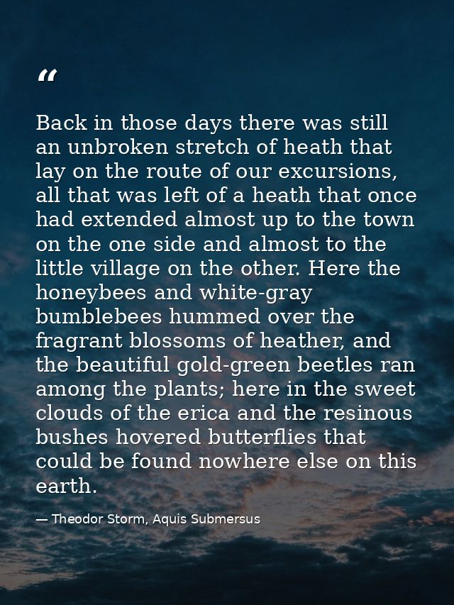 Back in those days there was still an unbroken stretch of heath that lay on the route of our excursions, all that was le — Theodor Storm, Aquis Submersus