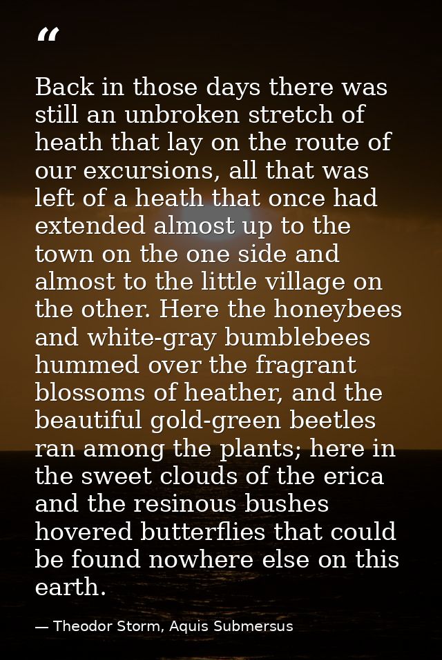 Back in those days there was still an unbroken stretch of heath that lay on the route of our excursions, all that was le — Theodor Storm, Aquis Submersus