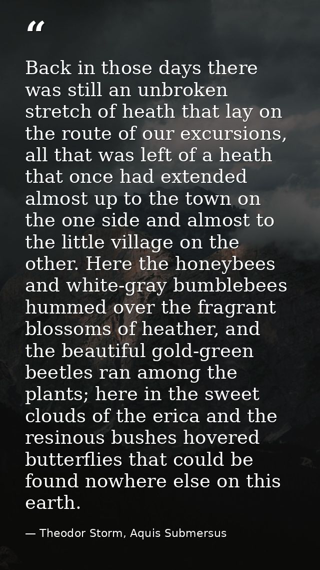 Back in those days there was still an unbroken stretch of heath that lay on the route of our excursions, all that was le — Theodor Storm, Aquis Submersus