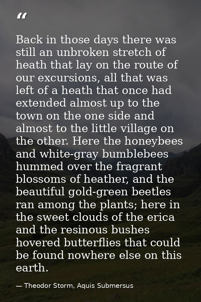 Back in those days there was still an unbroken stretch of heath that lay on the route of our excursions, all that was le — Theodor Storm, Aquis Submersus