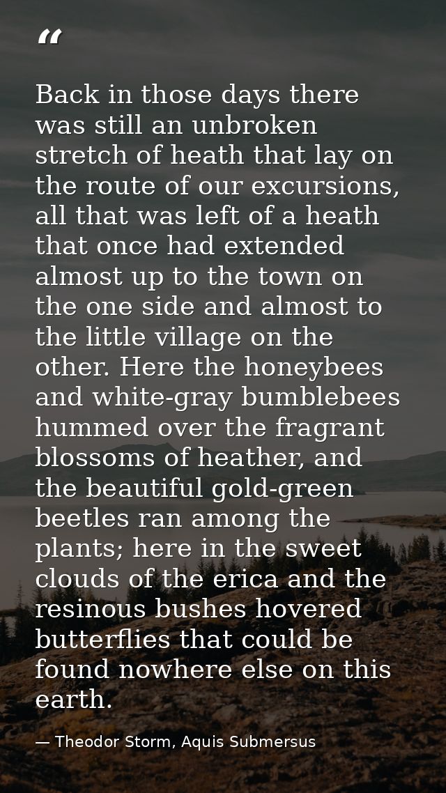 Back in those days there was still an unbroken stretch of heath that lay on the route of our excursions, all that was le — Theodor Storm, Aquis Submersus