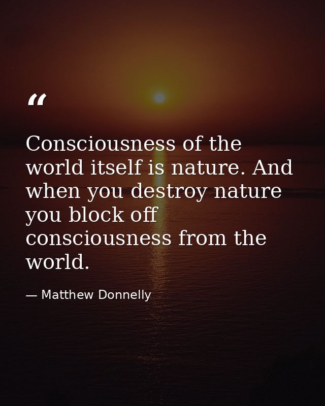 Consciousness of the world itself is nature. And when you destroy nature you block off consciousness from the world. — Matthew Donnelly