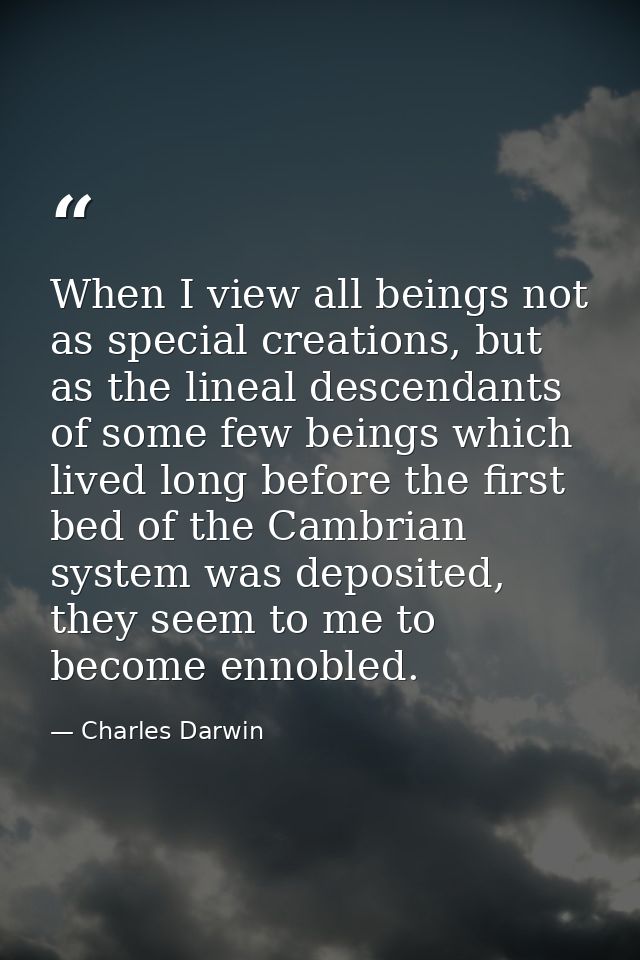 When I view all beings not as special creations, but as the lineal descendants of some few beings which lived long befor — Charles Darwin