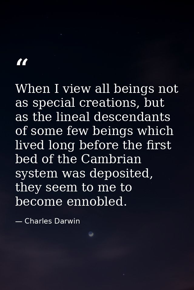 When I view all beings not as special creations, but as the lineal descendants of some few beings which lived long befor — Charles Darwin