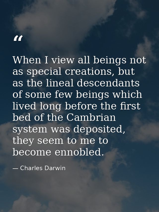 When I view all beings not as special creations, but as the lineal descendants of some few beings which lived long befor — Charles Darwin