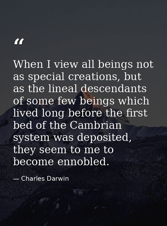 When I view all beings not as special creations, but as the lineal descendants of some few beings which lived long befor — Charles Darwin