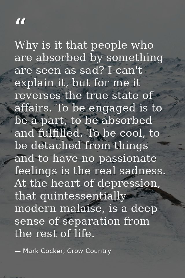 Why is it that people who are absorbed by something are seen as sad? I can't explain it, but for me it reverses the true — Mark Cocker, Crow Country