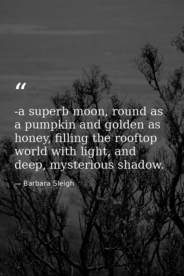 -a superb moon, round as a pumpkin and golden as honey, filling the rooftop world with light, and deep, mysterious shado — Barbara Sleigh