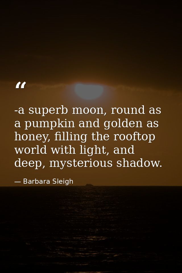 -a superb moon, round as a pumpkin and golden as honey, filling the rooftop world with light, and deep, mysterious shado — Barbara Sleigh