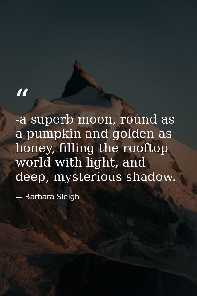 -a superb moon, round as a pumpkin and golden as honey, filling the rooftop world with light, and deep, mysterious shado — Barbara Sleigh