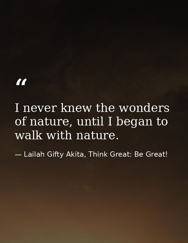 I never knew the wonders of nature, until I began to walk with nature. — Lailah Gifty Akita, Think Great: Be Great!