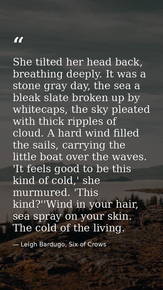 She tilted her head back, breathing deeply. It was a stone gray day, the sea a bleak slate broken up by whitecaps, the s — Leigh Bardugo, Six of Crows