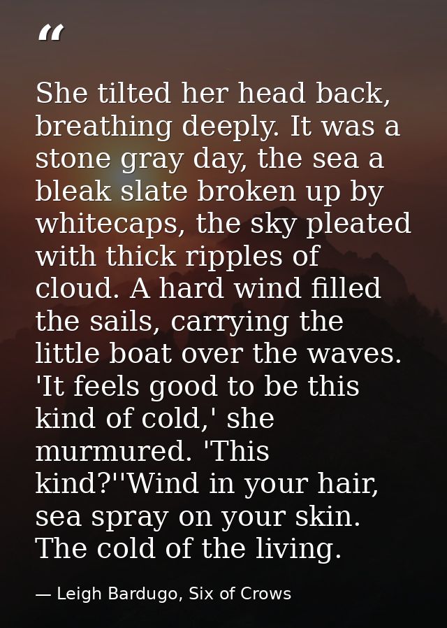 She tilted her head back, breathing deeply. It was a stone gray day, the sea a bleak slate broken up by whitecaps, the s — Leigh Bardugo, Six of Crows