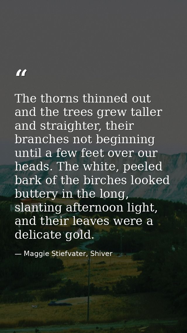 The thorns thinned out and the trees grew taller and straighter, their branches not beginning until a few feet over our  — Maggie Stiefvater, Shiver