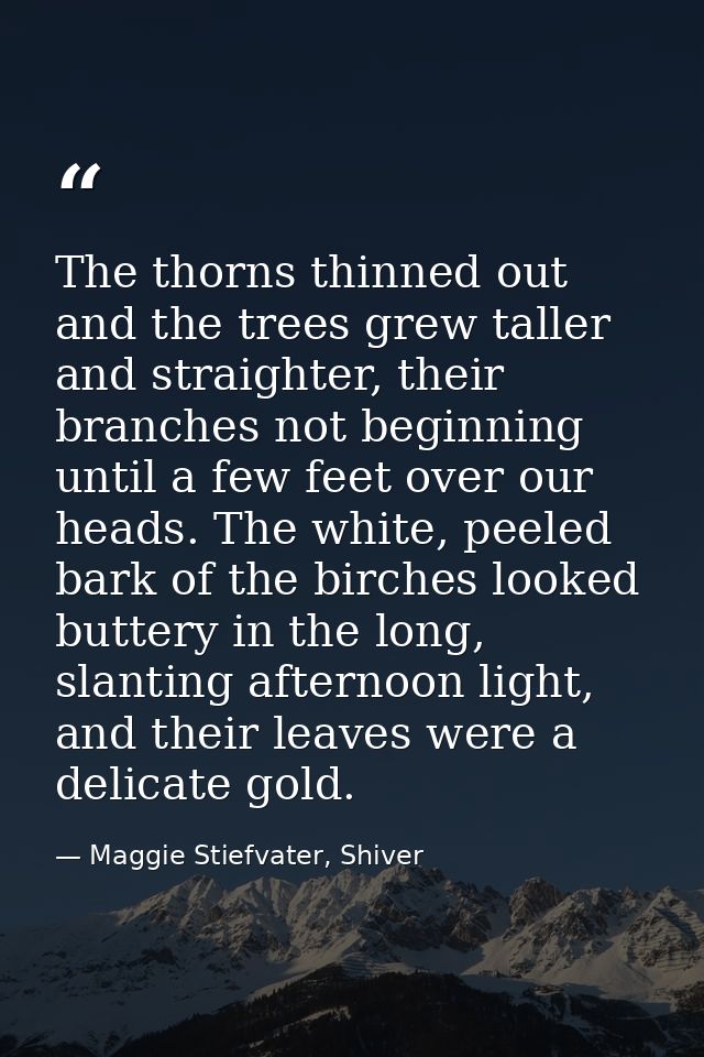 The thorns thinned out and the trees grew taller and straighter, their branches not beginning until a few feet over our  — Maggie Stiefvater, Shiver