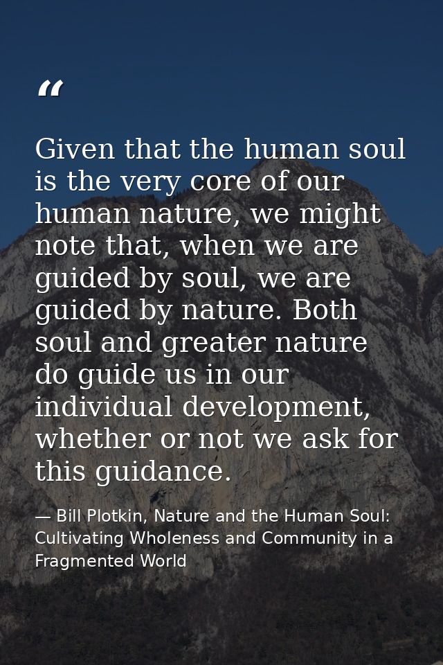 Given that the human soul is the very core of our human nature, we might note that, when we are guided by soul, we are g — Bill Plotkin, Nature and the Human Soul: Cultivating Wholeness and Community in a Fragmented World