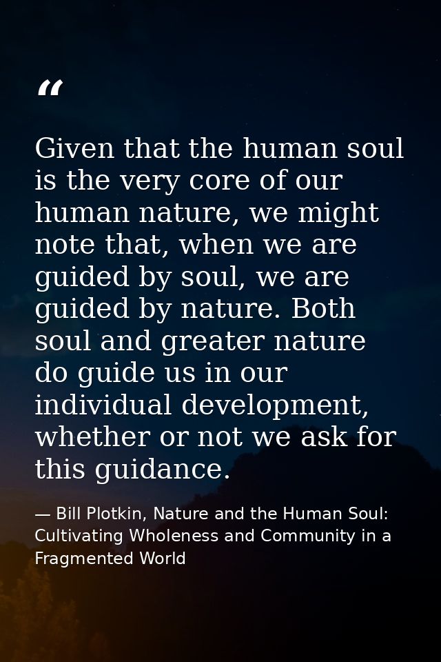 Given that the human soul is the very core of our human nature, we might note that, when we are guided by soul, we are g — Bill Plotkin, Nature and the Human Soul: Cultivating Wholeness and Community in a Fragmented World