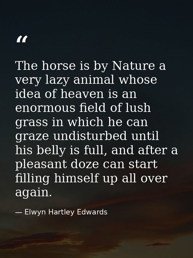The horse is by Nature a very lazy animal whose idea of heaven is an enormous field of lush grass in which he can graze  — Elwyn Hartley Edwards